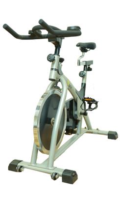 Vision fitness online es600